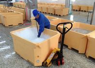 Boîtes de glace carbonique portatives de refroidisseur d'emballage 660L fournissant la bonne isolation à froid résistante