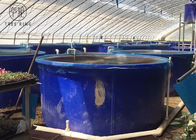 Produits de M5000L Rotomolding, bleu circulaire à couvercle serti réservoir d'eau d'Aquaponics de 1300 gallons