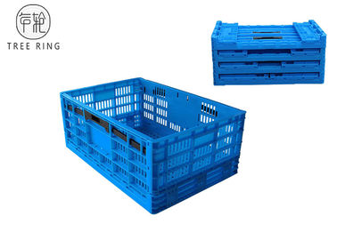 Caisse en plastique pliante pliable pour l'industrie alimentaire, caisses de fruits et légumes