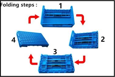 Caisse en plastique pliante pliable pour l'industrie alimentaire, caisses de fruits et légumes